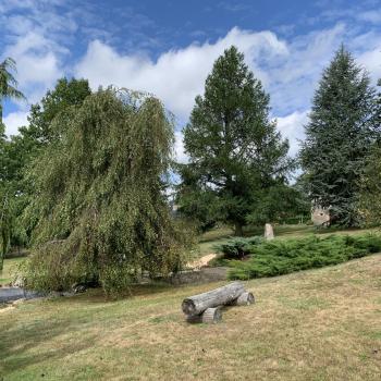 The Grounds