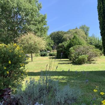 The Grounds