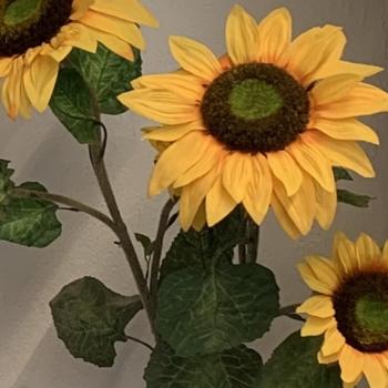 Sunflowers Decor Accent