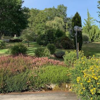 Open views onto the grounds from the wooden deck